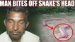 Indian farmer bites off snake's head in revenge, Watch video | Oneindia News