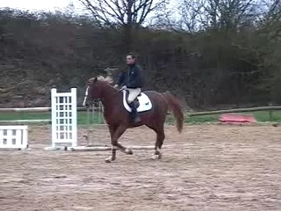 Quarnac trot