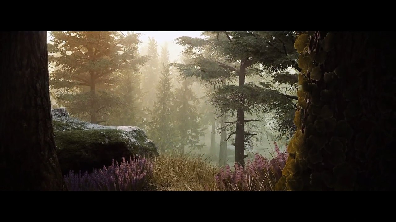 Tráiler de Mavericks  Proving Grounds