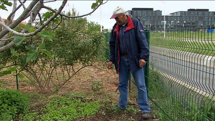 "Parcelles" - Un film documentaire de Inès Compan et Dzu Le Lieu – extrait