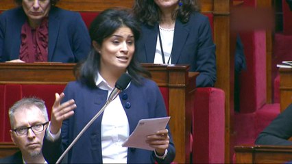 Macron's MPs: New immigration bill 'betrays French values'