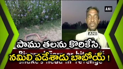 Bizarre : Man Bit Off A Snake’s Head, Watch Video