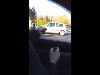 Attraper une mouette