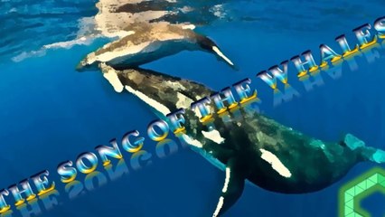 THE SONG OF THE WHALES MUSIC LMMS
