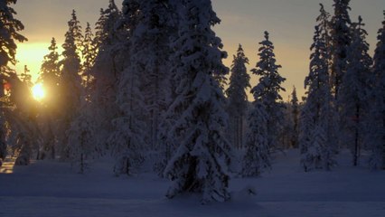 Skoda 4x4 Winter Experience