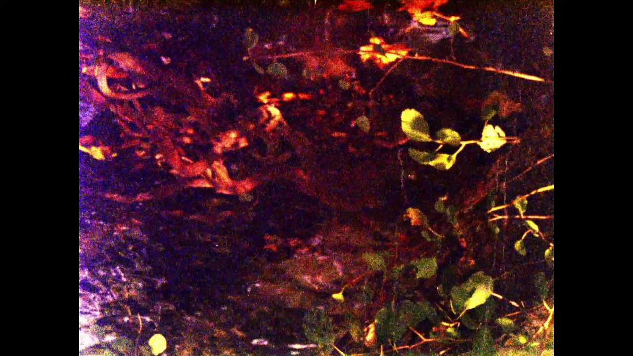 Voyage au delà du paysage bobine 63