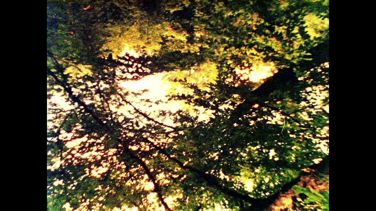 Voyage au delà du paysage bobine 69