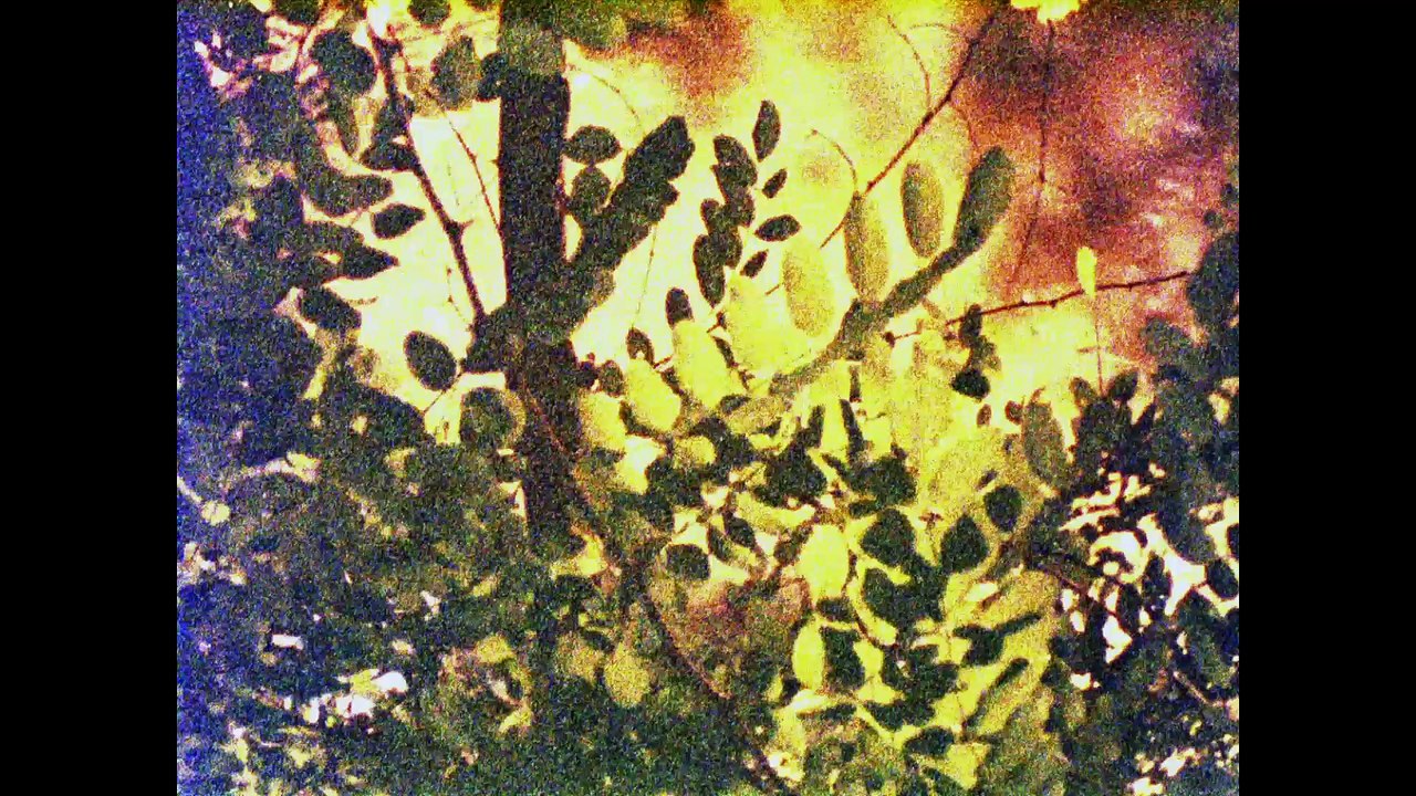 Voyage au delà du paysage bobine 72