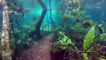 Un chemin de randonnée sous-marin (Brésil)... Incroyable