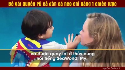 Bé gái quyến rũ cả đàn cá heo chỉ bằng 1 chiếc lược