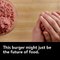 This Burger is the Future of Food