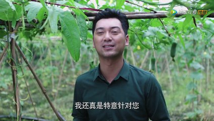 39-警犬来啦-39集 高清