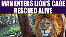 Man crawls into a cage of Lion, later rescued by zoo security, Watch Video | Oneindia News