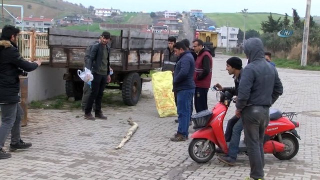 Tekirdağ'da dev yılan paniği... 'Köpeğin kayışı ve tasması yanında bulundu'