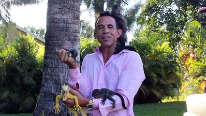 Exotic Animal Parties