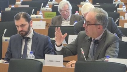 Eurodiputados reclaman una plataforma de inteligencia antiterrorista europea