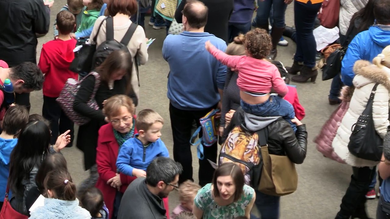 CBeebies  Andy's Prehistoric Adventures - T-Rex Rap Flash Mob