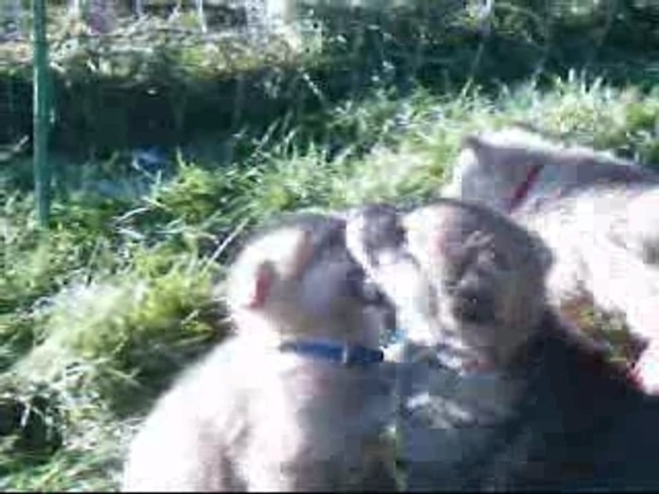 Sortie au Parc