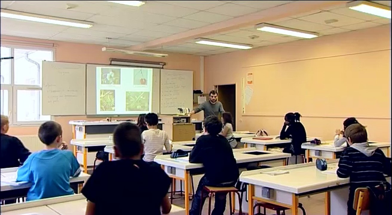 Mallette 6e - Un cours de science de la vie et de la Terre (SVT)