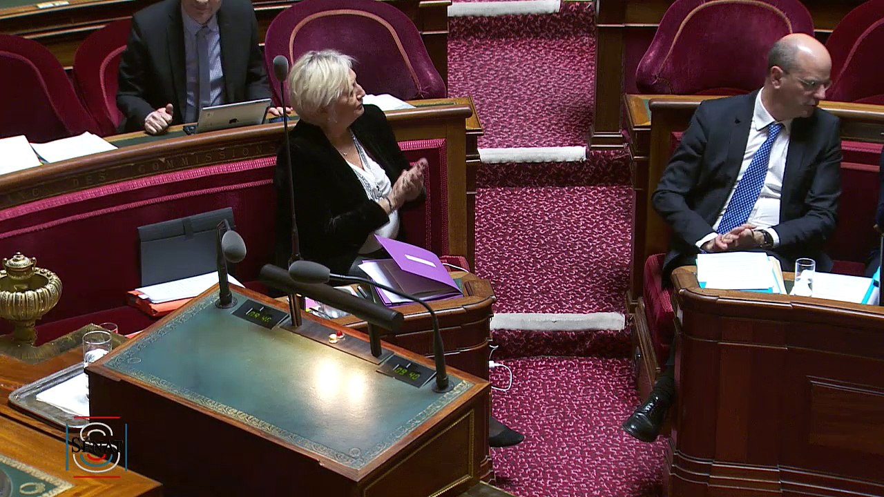 Intervent° de Jean-Michel Blanquier au sénat  sur PPL Gatel concernant les établissements hors contrat - 21 fev 2018