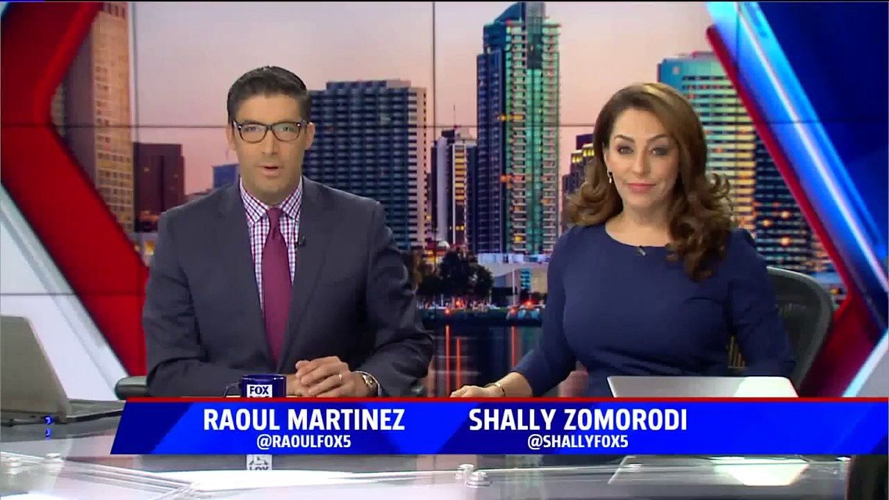 Small Plane Crashes in San Diego