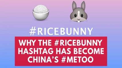 Why the #RiceBunny hashtag has become China's #MeToo