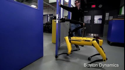 Testing Robustness