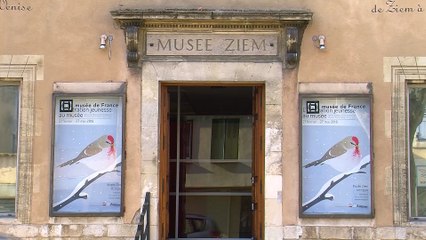 Un aperçu de la nouvelle exposition du musée Ziem autour de l'illustration jeunesse