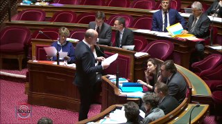 Intervent° de J.M Blanquer au Senat sur art 2 et suivants (#PPL Francoise Gatel  - 21 fev 2018)