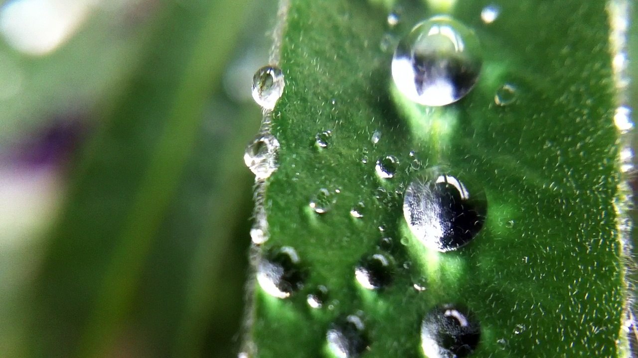 Water Drop Macro