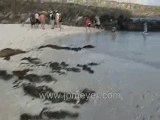 Galapagos Islands travel: More of that beautiful lagoon.