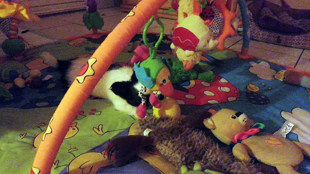 nouage jeux le 20 0218