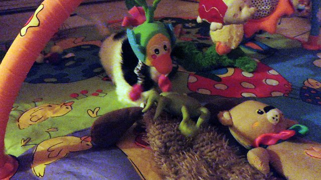 nouage jeux le 20 0218 (1)