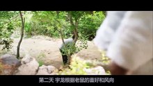 这部恐怖电影，很少有人看完，观影过程呕吐不止，建议别看全片