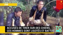 Chine : des voleurs de chiens sont ligotés et battus pendant 10 heures