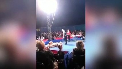 Oso ataca al público y se desata el pánico