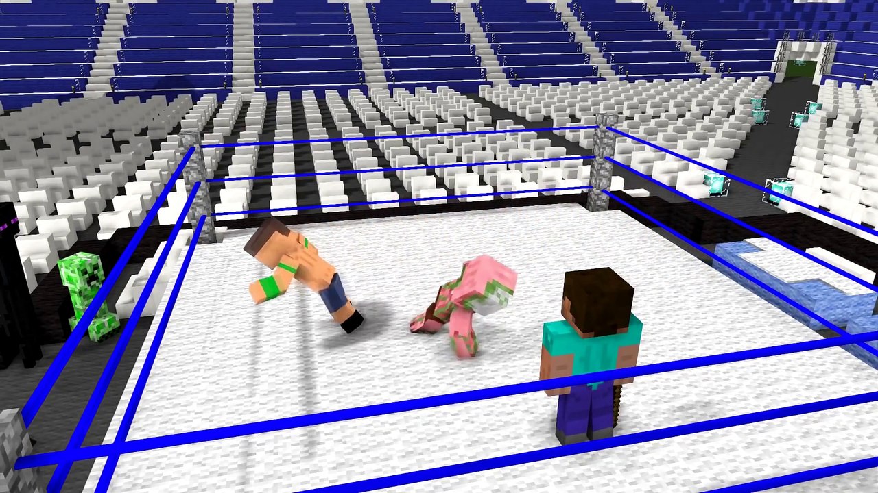 Minecraft Animation - Steve vs Connor MacGregor in Minecraft Monster School Animation in real life