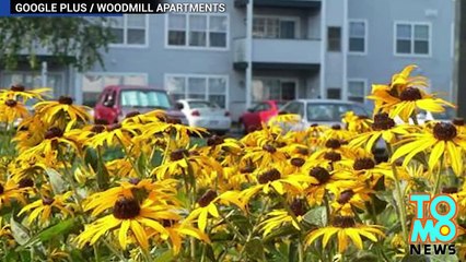 Sexe, prof et élève... de 13 ans!!! ils sont de plus en plus jeunes...