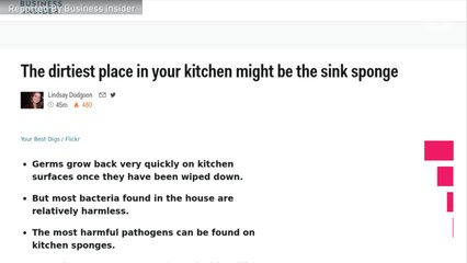 Bacteria Thrives On Kitchen Sponges