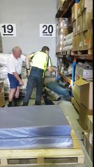 Highly Venomous Snake Found in Tingalpa Warehouse
