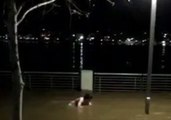 Man Swims Through Flooded Park After Ohio River Overflows