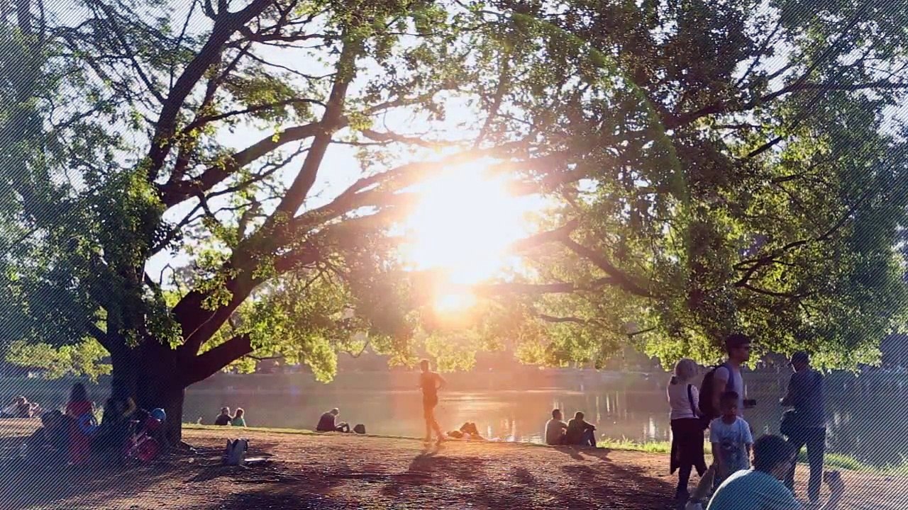 A louer - Appartement - BRETTEVILLE SUR ODON (14760) - 2 pièces - 43m²