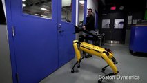 Le robot SpotMini ouvreur de porte est obstiné