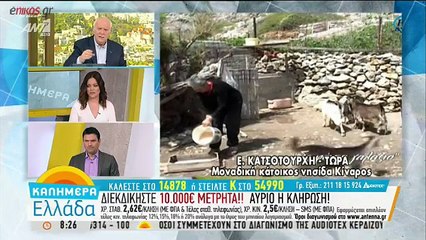 Η Ελληνική Ένωση Επιχειρηματιών θα καλύψει τις ανάγκες της μοναδικής κατοίκου στην Κίναρο