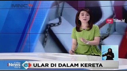 Heboh! Ditemukan Seekor Ular Sanca di Dalam Kereta