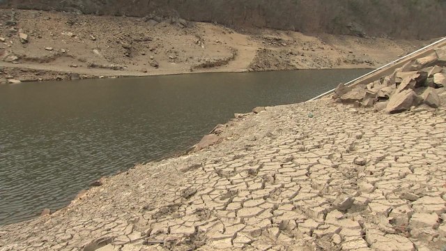 심각한 가뭄...농업용수는 물론 식수도 위협 / YTN