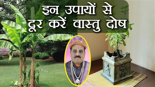 घर में वास्तु दोष दूर करेंगे ये आसान उपाय | Vastu Tips to remove Vastu Dosh | Boldsky