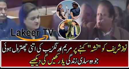 Great Insult of Marriyum Aurangzeb on Social Media