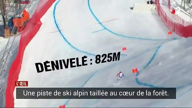 Pour créer une piste de ski alpin en vue des Jeux Olympiques, la Corée du Sud a détruit et sacrifié une forêt protégée