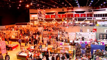 Meeting Local Animators Turnip Starfish